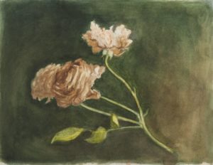 Dying Flowers - Watercolor on Paper