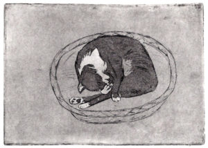 Etching of an old tuxedo cat sleeping in a basket, she's curled in a fetal position, covering her face with one of her paws, by Maurilio Milone